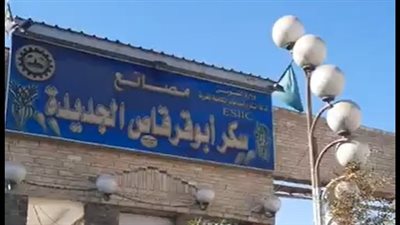 بعد 155 سنة عمل.. حقيقة توقف مصنع سكر أبو قرقاص عن الإنتاج| بث مباشر 