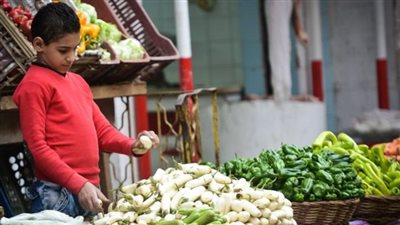 مصر الثانية بعد الأرجنتين.. البنك الدولي يعلن قائمة أكثر الدول المتضررة من ارتفاع أسعار الغذاء
