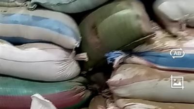 تموين الإسكندرية: ضبط 640 طن أعلاف ماشية مجهولة المصدر