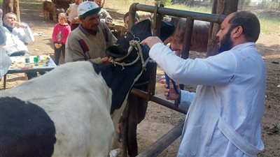 تزامنا مع عيد الأضحى.. الطب البيطري بدمياط تطلق قافلة مجانية الخميس المقبل