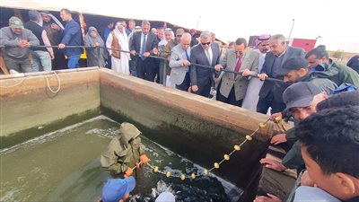 محافظ شمال سيناء يشهد إنتاج مزرعة أم شيحان السمكية 
