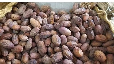 تموين مطروح تحذر من تناول التمر قبل غسله: عليه حبة الغلة السامة اغسلوه جيدا