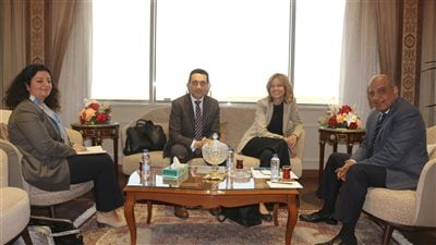 وزير قطاع الأعمال يبحث تعزيز التعاون مع الشركات النرويجية: منفتحون للشراكة مع القطاع الخاص المحلي والأجنبي 