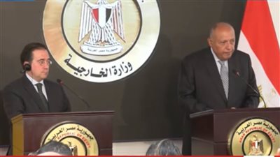 وزير الخارجية عن ميناء غزة: هل على الفلسطينيين الاستمرار في الموت حتى الانتهاء من إنشائه؟