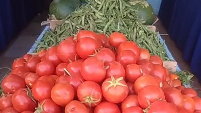 البطاطس بـ15 جنيهًا.. أسعار الخضراوات بالأسواق اليوم الأحد 24 مارس | بث مباشر