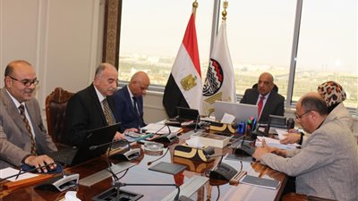 أبرزها صيدناوي وعمر أفندي.. خطة لتطوير فروع التجارة الداخلية بالشراكة مع القطاع الخاص