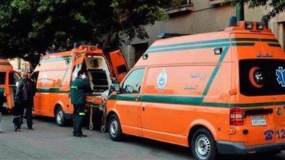 إصابة 12 شخصًا في انقلاب ميكروباص على طريق مطروح الإسكندرية | أسماء