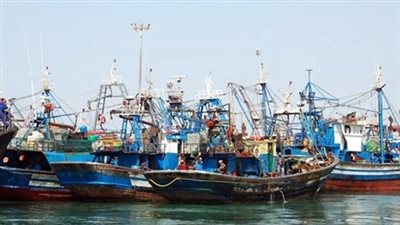 اعتبارًا من اليوم.. وقف الصيد في خليجي السويس والعقبة حتى 15 يوليو | بث مباشر