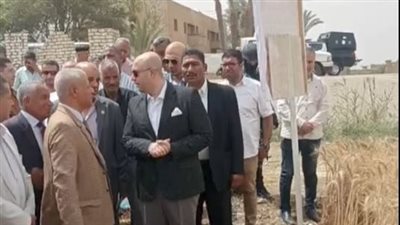 محافظ بني سويف يتفقد حصاد محصول القمح بقرية النويرية| بث مباشر 