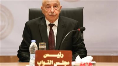 رئيس مجلس النواب الليبي: إذا لم يتم إجراء الانتخابات خلال 6 أشهر فإن البلاد تتجه نحو التقسيم