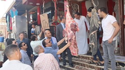 لتخفيض أسعار اللحوم.. السكرتير العام ببني سويف يتفقد بدء تطبيق مبادرة جزاري بني سويف 