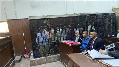 جنايات الجيزة تقاضي 13 متهمًا قتلوا شقيقين واستعرضوا القوة على المواطنين