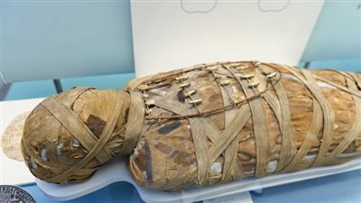 الآثار تكشف تفاصيل العثور على رأس مومياء داخل جوال بأسوان | بث مباشر