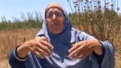 سيدة تستغيث من شقيقها وأبنائه بكفر الشيخ: بورلي الأرض وبيدعي إنه ليه نصها| بث مباشر 