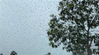 أمطار ورياح.. الأرصاد تحذر من حالة الطقس في بعض مدن جنوب سيناء | بث مباشر