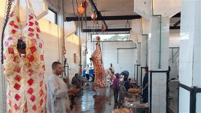 الزراعة: المجازر تستقبل 7300 أضحية في ثالث أيام عيد الأضحى المبارك 