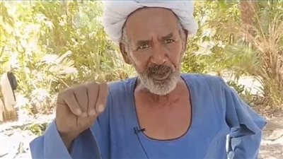 حساسة وبتتعامل معاملة خاصة.. فرحة مزارعي أسوان ببدء موسم حصاد المانجا| بث مباشر