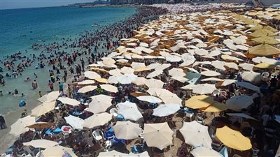 بعد مرور يوم.. انتشال غريق ترعة ناصر في الإسكندرية