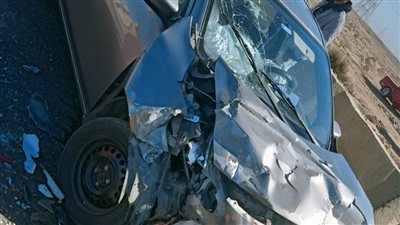 مصرع مدرس وإصابة 3 آخرين إثر سقوط نخلة على سيارة بالمنيا