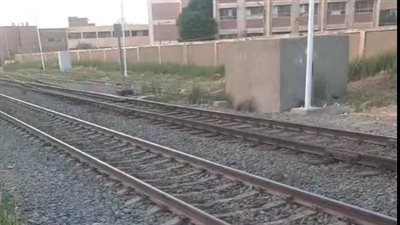  صدمته سيارة نقل.. مصرع عامل مزلقان بمحطة قطار سملا بمطروح
