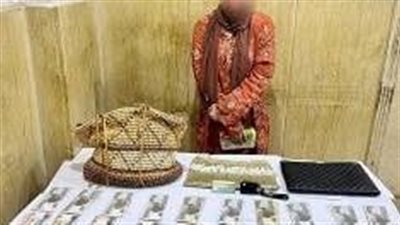فيزا ومبلغ مالي كبير.. حبس نشالة سرقت حقيبة سيدة في التجمع 