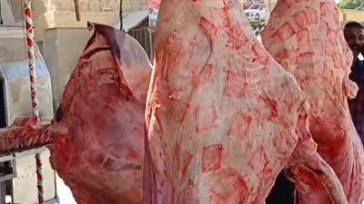 بـ 290 جنيهًا.. شباب السويس يطلقون مبادرة لتخفيض أسعار اللحوم البلدية| بث مباشر