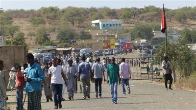 مصر تدين هجمات استهدفت مخيم زمزم بدارفور في السودان 