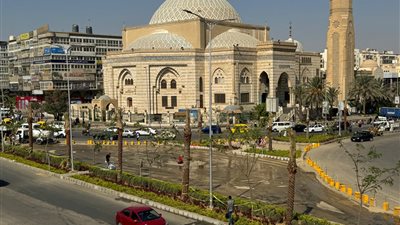 نخيل مثمر.. جهاز 6 أكتوبر يزرع أشجارا ونباتات زينة بالشوارع المحيطة بمسجد الحصري
