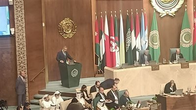 وزير خارجية تركيا: مصر بذلك جهودا كبيرة لوقف إطلاق النار في غزة.. وإسرائيل حالت دون ذلك