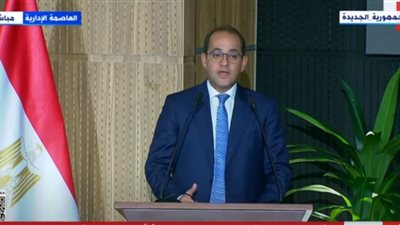 وزير المالية: وضع سقف للغرامات بأن لا تزيد عن أصل الضريبة.. وتفعيل وحدات دعم المستثمرين 