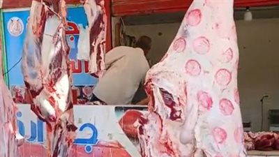 الكيلو بـ270 جنيها.. مبادرة شباب الخير في السويس لبيع اللحوم بأسعار مخفضة للمواطنين | بث مباشر 