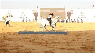 محافظ الشرقية: مهرجان الخيول قدم عروضا أبهرت الجميع.. والتنظيم يستحقون الثناء