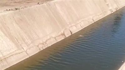 كان بيلعب.. مصرع صغير غرقًا في مياه ترعة الباجورية بالمنوفية| بث مباشر 