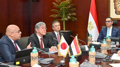 وزير الاستثمار يناقش تطورات إنشاء مصنع إنتاج الضفائر الكهربائية بالفيوم