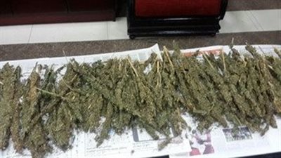 مخدر الواكس وعيش الغرب.. الداخلية تضبط متهما بحوزته مخدرات جديدة بـ 8.5 مليون جنيه