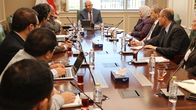 وزير الكهرباء: الانتهاء من مشروع الربط الكهربائي المصري السعودي مطلع الصيف المقبل