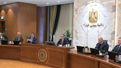 اليوم.. أول اجتماع لرئيس الوزراء مع اللجان الاستشارية المتخصصة