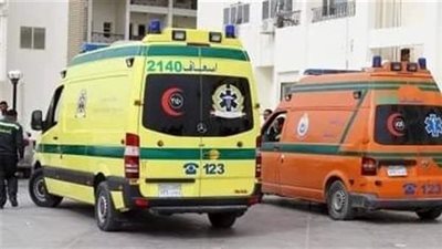 إصابة 4 أشخاص إثر تصادم سيارة مع لودر بالوادي الجديد | بث مباشر 