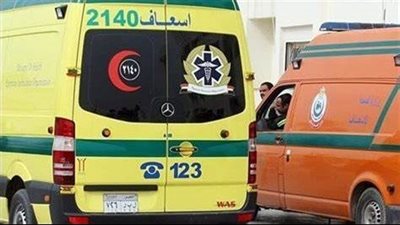 مصرع شخص صعقًا بالكهرباء في أسيوط
