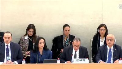 وزير الخارجية يترأس الوفد المصري بجلسة الاستعراض الدوري لحقوق الإنسان