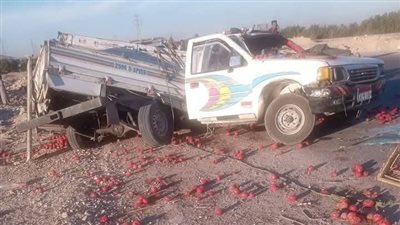 بينهم مستشار بقضايا الدولة.. ننشر أسماء مصابي حادث تصادم سيارتين في قنا