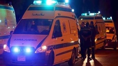 فلسطيني ينهي حياة زوجته بطعنة نافذة في الشرقية.. وأسرته: مر بأزمة نفسية حادة