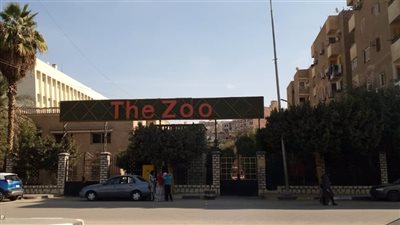 عقب واقعة الأسد.. حديقة الحيوان بالفيوم تستقبل زوارها بعد أسبوع من غلقها| بث مباشر