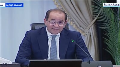وزير المالية: نستهدف إتاحة مبالغ مالية لوزارة العمل لتقديم منحة قدرها 1500 جنيه للعمالة غير المنتظمة