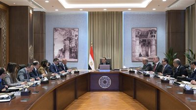 الحكومة: توحيد إجراءات وظائف الأزهر والتعليم لجهاز التنظيم والإدارة