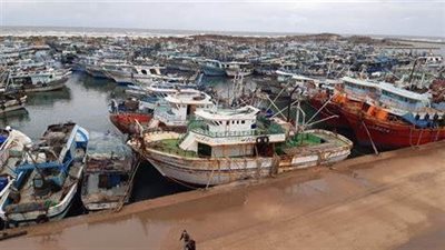 أمطار خفيفة تضرب كفر الشيخ.. وتوقف حركة الصيد لليوم الثالث بسبب سوء الأحوال الجوية| بث مباشر