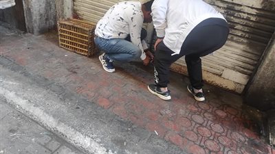 تحرير 1007 مخالفات لمحلات ومنشآت لم تلتزم بقرار الغلق
