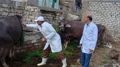 اليوم.. انطلاق الحملة القومية للتحصين ضد الحمى القلاعية وحمى الوادي المتصدع بالبحيرة