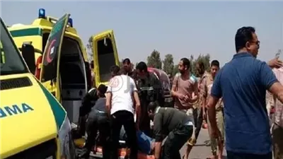 مصرع وإصابة 8 أشخاص إثر انقلاب سيارة محملة بالعمالة الزراعية بالبحيرة| بث مباشر 