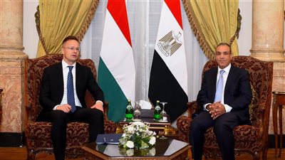 وزير الخارجية ونظيره المجري يعقدان جلسة مباحثات في القاهرة